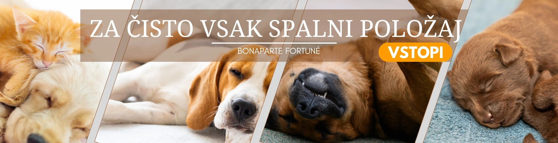 Bonaparte Fortune - Vstopi